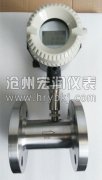 雙顯示渦輪流量計